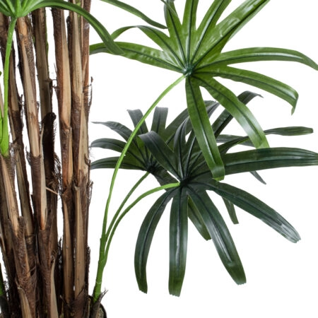 BROADLEAF LADY PALM TREE 20384 Τεχνητό Διακοσμητικό Φυτό Πλατύφυλλος Φοίνικας Μπαμπού Υ300cm - Τεχνητα Μπαμπου Sticky 1