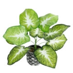 CALADIUM 20890 Τεχνητό Διακοσμητικό Φυτό Τροπικό Φυτό  Φ40 x Υ33cm