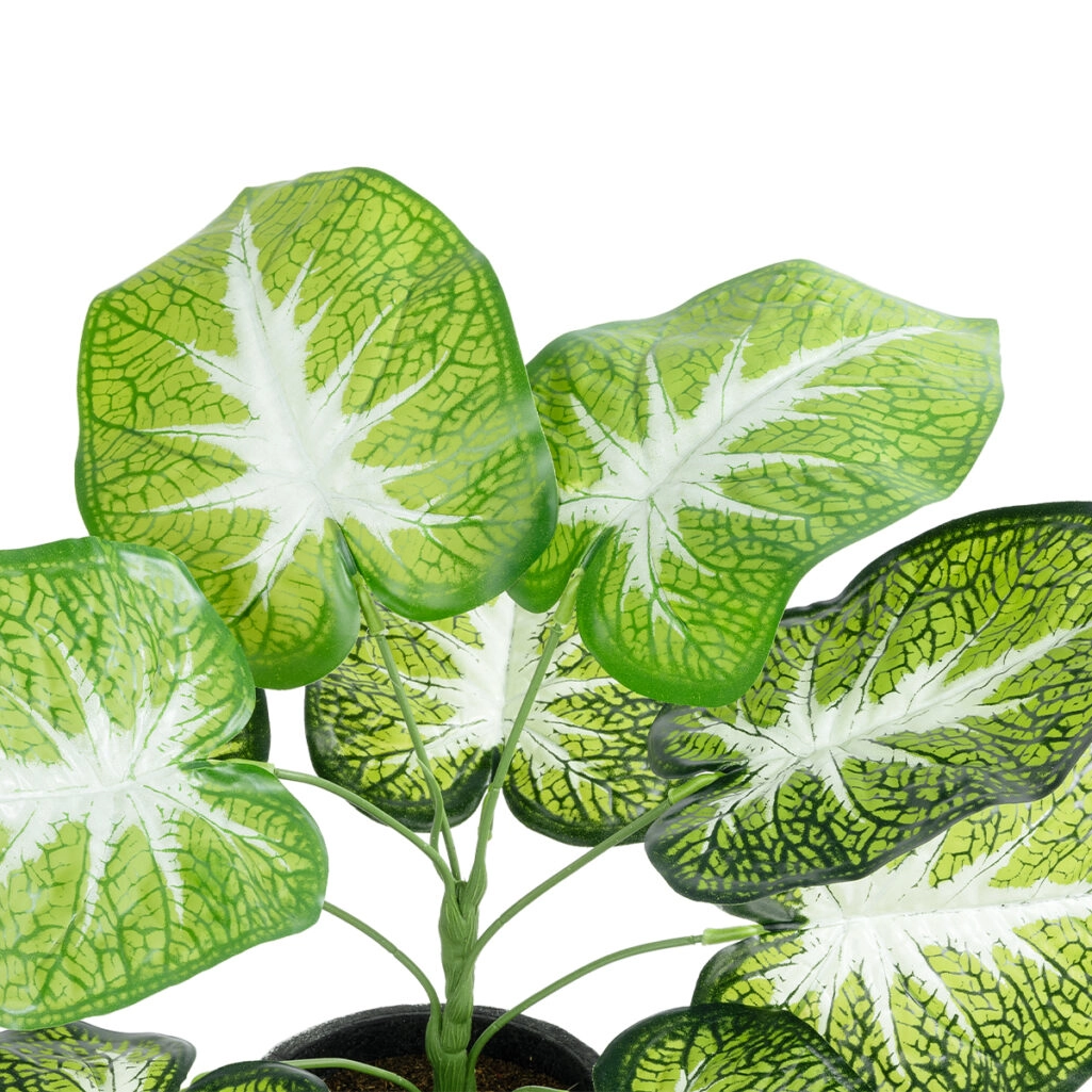 CALADIUM 20890 Τεχνητό Διακοσμητικό Φυτό Τροπικό Φυτό  Φ40 x Υ33cm