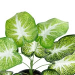 CALADIUM 20890 Τεχνητό Διακοσμητικό Φυτό Τροπικό Φυτό  Φ40 x Υ33cm