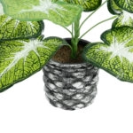 CALADIUM 20890 Τεχνητό Διακοσμητικό Φυτό Τροπικό Φυτό  Φ40 x Υ33cm