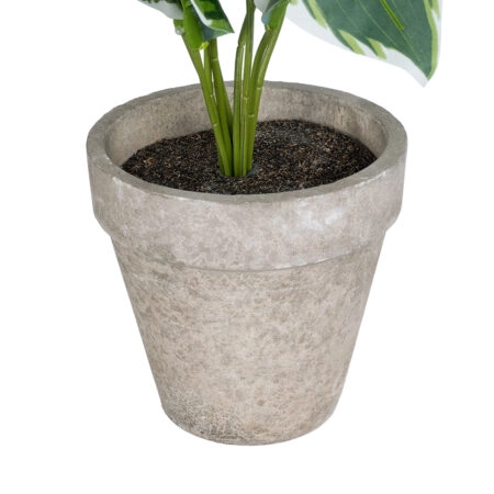 WHITE HOSTA PLANT 20900 Διακοσμητικό Φυτό Λευκή  Χόστα Φ45 x Υ40cm - Τροπικα και Ιδιαιτερα Τεχνητα φυτα Sticky 2