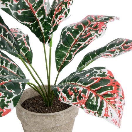 RED AGLAONEMA POTTED PLANT 20901 Διακοσμητικό Φυτό Κόκκινο Αγλαόνημα Φ40 x Υ33cm - Τροπικα και Ιδιαιτερα Τεχνητα φυτα Sticky 1