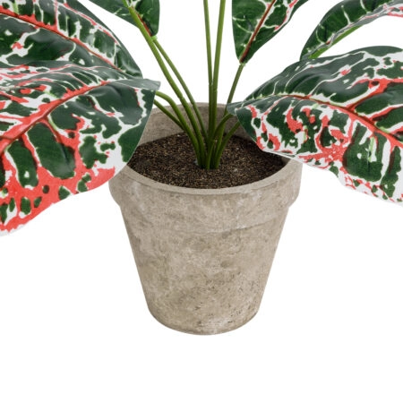 RED AGLAONEMA POTTED PLANT 20901 Διακοσμητικό Φυτό Κόκκινο Αγλαόνημα Φ40 x Υ33cm - Τροπικα και Ιδιαιτερα Τεχνητα φυτα Sticky 2