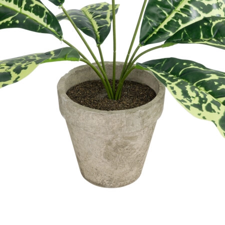 YELLOW AGLAONEMA POTTED PLANT 20902 Διακοσμητικό Φυτό Κίτρινο Αγλαόνημα Φ40 x Υ33cm - Τροπικα και Ιδιαιτερα Τεχνητα φυτα Sticky 2