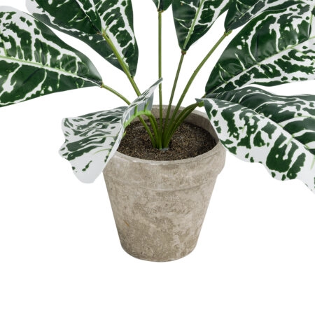 WHITE AGLAONEMA POTTED PLANT 20903 Διακοσμητικό Φυτό Λευκό Αγλαόνημα Φ40 x Υ33cm - Τροπικα και Ιδιαιτερα Τεχνητα φυτα Sticky 2