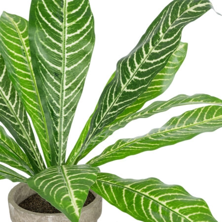 ZEBRA POTTED PLANT 20906 Διακοσμητικό Φυτό Ζέμπρα Φ40 x Υ33cm - Τροπικα και Ιδιαιτερα Τεχνητα φυτα Sticky 1