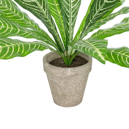 ZEBRA POTTED PLANT 20906 Διακοσμητικό Φυτό Ζέμπρα Φ40 x Υ33cm - Τροπικα και Ιδιαιτερα Τεχνητα φυτα Sticky 2