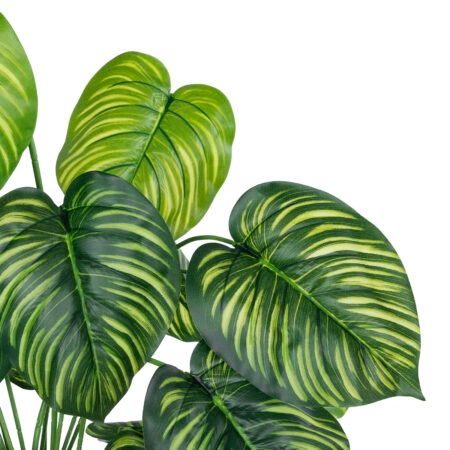 CALATHEA PLANT 20912 Διακοσμητικό Φυτό Καλαθέα Φ55 x Υ75cm - Τροπικα και Ιδιαιτερα Τεχνητα φυτα Sticky 1