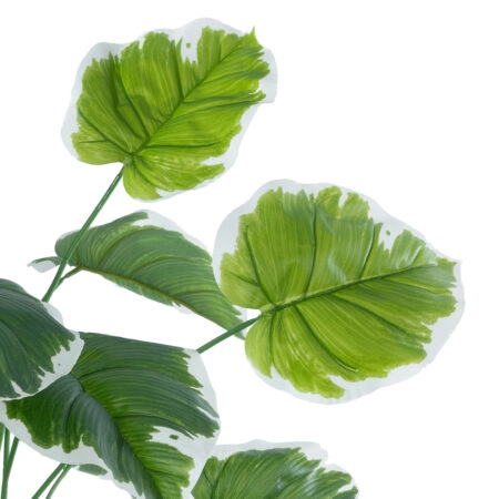 WHITE HOSTA PLANT 20920 Διακοσμητικό Φυτό Λευκή Χόστα Φ87 x Υ80cm - Τροπικα και Ιδιαιτερα Τεχνητα φυτα Sticky 1