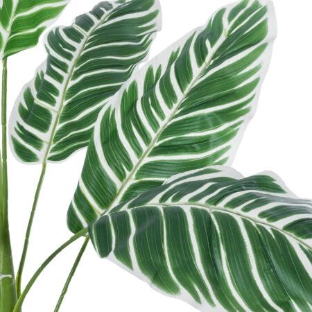 WHITE ZEBRA PLANT 20943 Τεχνητό Διακοσμητικό Φυτό Λευκή Ζέβρα Φ90 x Υ90cm - Τροπικα και Ιδιαιτερα Τεχνητα φυτα Sticky 1