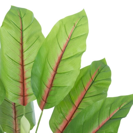 BLOOD BANANA PLANT 20944 - Διακοσμητικό Φυτό Αιματόφυλλη Μπανανιά Φ70 x Υ90cm - Τεχνητες Μπανανιες Sticky 1