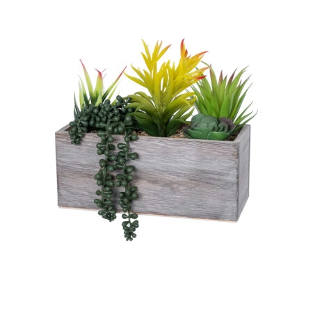 ΠΑΧΥΦΥΤΟ VARIUS PLANT POTTED 21034 Διακοσμητικό Φυτό Μίξ Μ23 x Π13 x Υ23cm