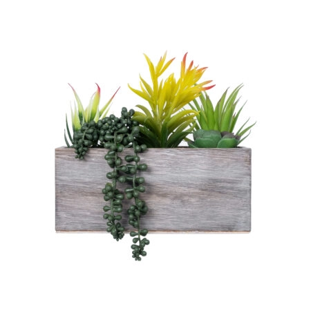 ΠΑΧΥΦΥΤΟ VARIUS PLANT POTTED 21034 Διακοσμητικό Φυτό Μίξ Μ23 x Π13 x Υ23cm - Μικρα Φυτά και Παχύφυτα Sticky 1