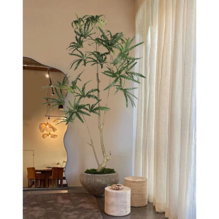 PEACOCK TREE ΔΕΝΤΡΟ ΤΕΧΝΗΤΟ ΣΕ ΓΛΑΣΤΡΑ 150 PE ΠΡΑΣΙΝΟ ΜΕΤΑΞΩΤΟ ΥΦΑΣΜΑ - Τροπικα και Ιδιαιτερα Τεχνητα φυτα Sticky 1
