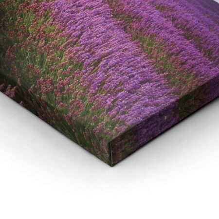 Τετράπτυχος LAVENDER FIELD - Λεβαντα Sticky 1