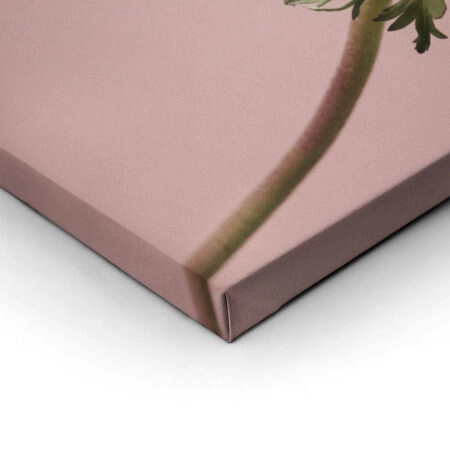 Σετ Τριπτυχος Πινακας σε καμβά PINK MINIMALISM - Ανεμωνες Sticky 2