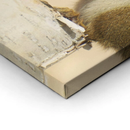 Σετ Δίπτυχος Πινακας σε καμβά SQUIRRELS - Ζωα Sticky 2