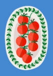 Πόστερ TOMATOES ILLUSTRATION
