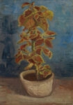 Πινακας σε καμβά VAN GOGH - BLUMENTOPF MIT BUNTNESSEL