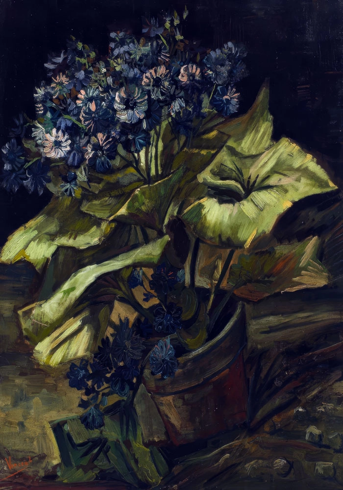 Πινακας σε καμβά VAN GOGH - CINERARIA