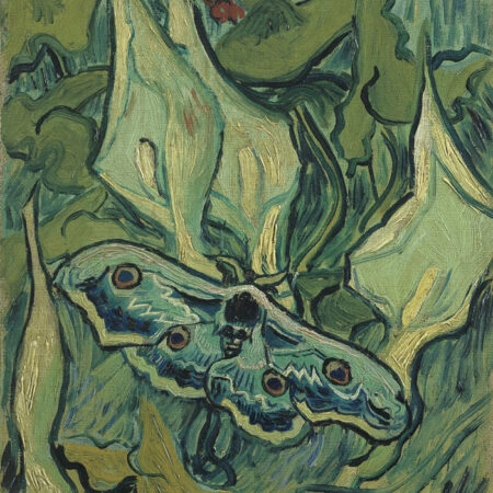 Πινακας σε καμβά VAN GOGH - GIANT PEACOCK MOTH - Vincent Van Gogh Sticky 4