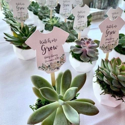 Boho βάπτιση: Μοναδικές ιδέες για ένα ζεστό chic event! 6 Baby Shower με θέμα ζούγκλα