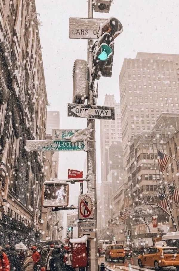 Ταξίδι του μέλτιτος τα Χριστούγεννα στην Νέα Υόρκη