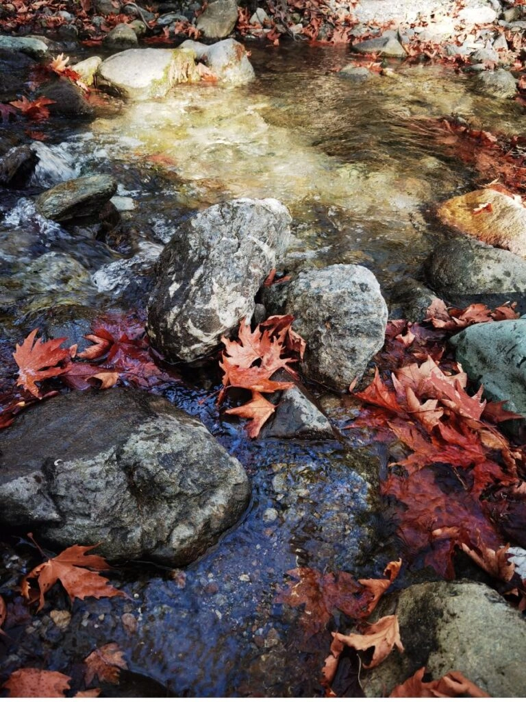 12 Ρομαντικοί χειμερινοί προορισμοί στην Ελλάδα για ζευγάρια 10 Στενή Ευβοίας