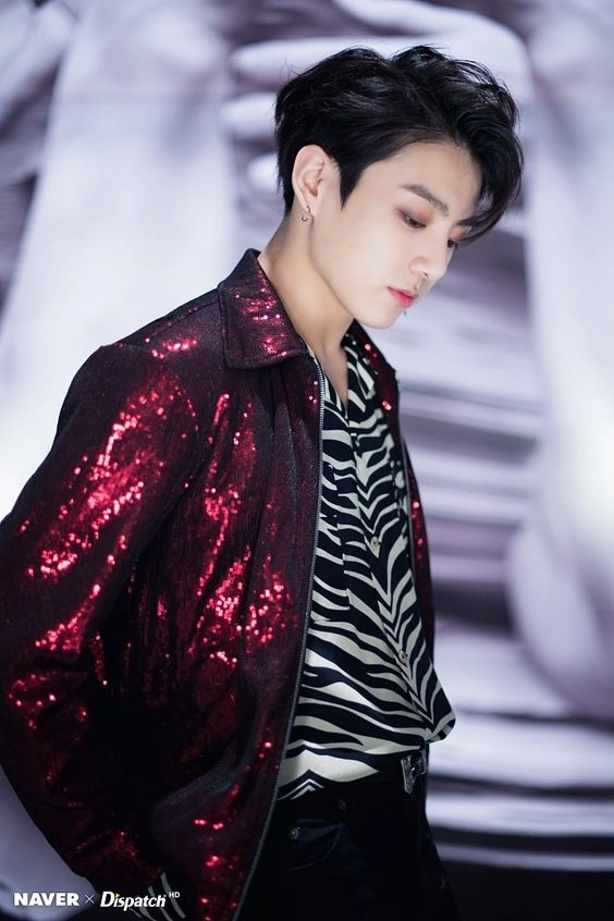 BTSJUNGKOOKピケット Striped Biker BTS Jungkook 3D Jacket