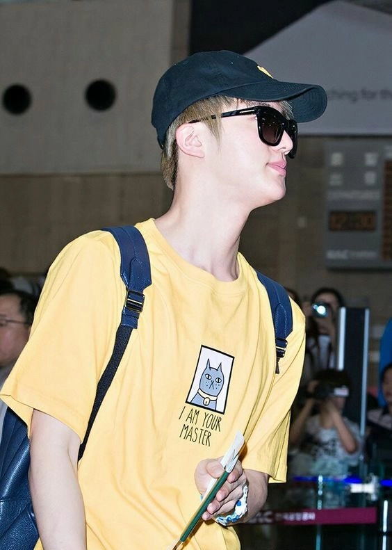 Yellow Cat I Am Your Master T-Shirt | Jin - BTS - Fashion Chingu