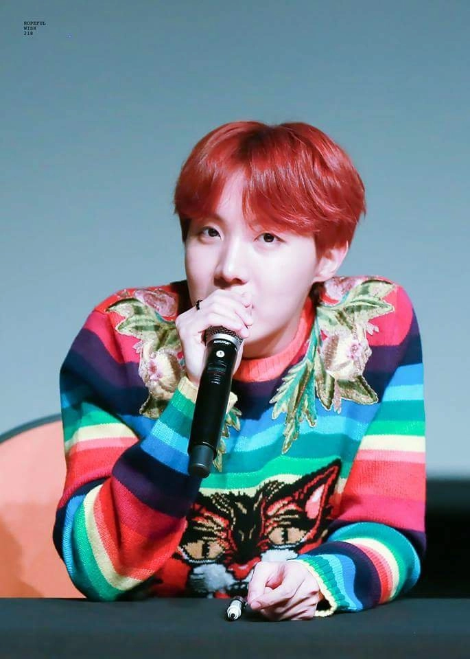 Multicolored Tiger Head Flower Embroidery Sweater | J-Hope - BTS