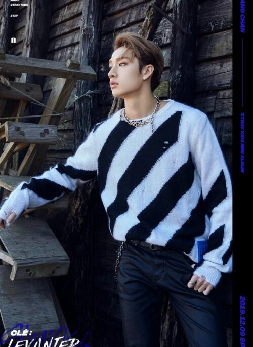 StrayKids 公式Tシャツ straykids 公式 Tシャツ Mサイズ 横浜 UNVEL 賢く TOUR