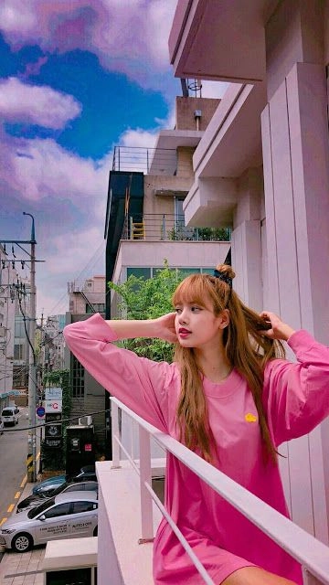 ピンクラグ　Lisa ピンクラグ Lisa Amazon.com: Feelyou Pink Black White Zebra