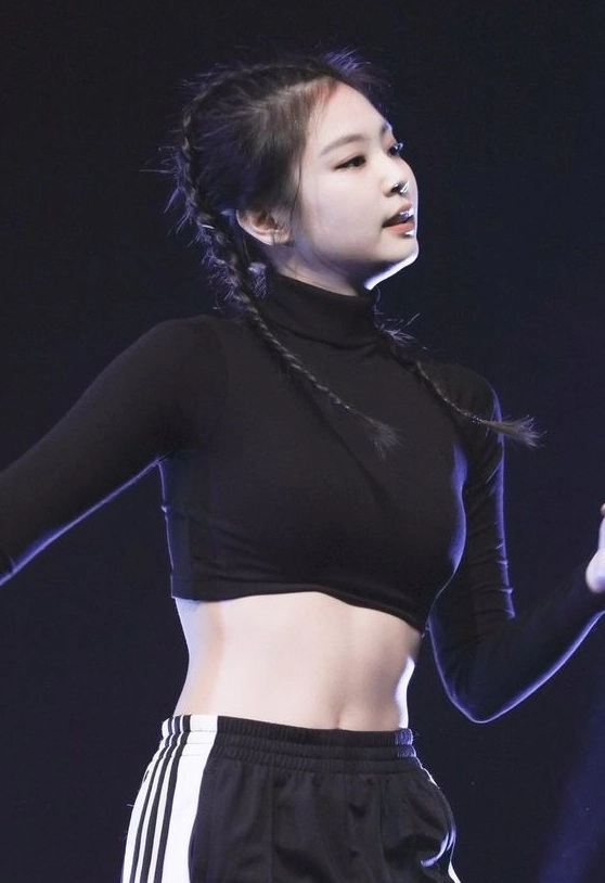 Black Long Sleeve High Neck Crop Top | Jennie - Blackpink