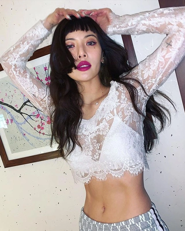 White See-Through Cropped Top Long Sleeves With Inner Cami