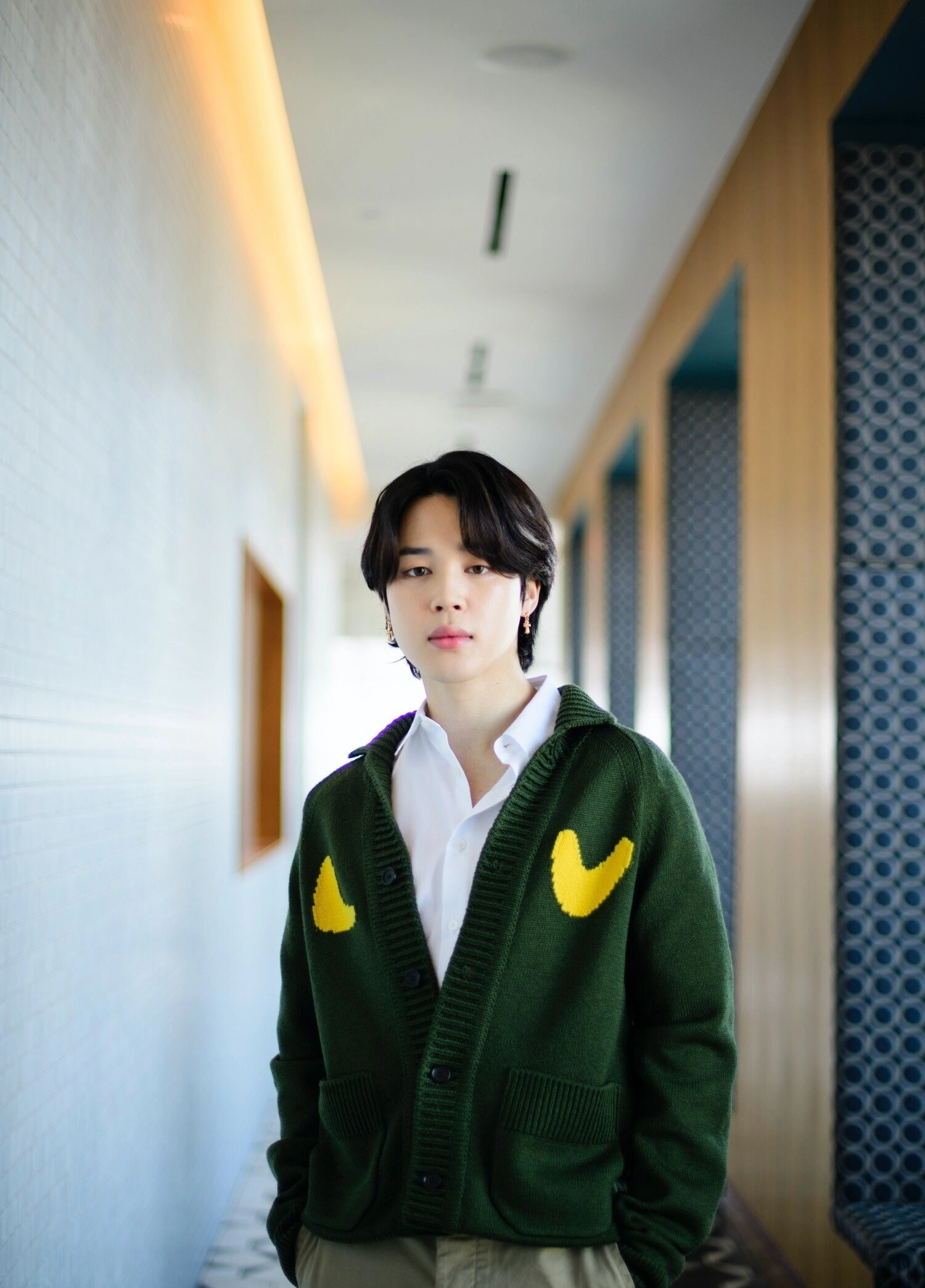 Green Tiger Cardigan | Jimin - BTS - Fashion Chingu
