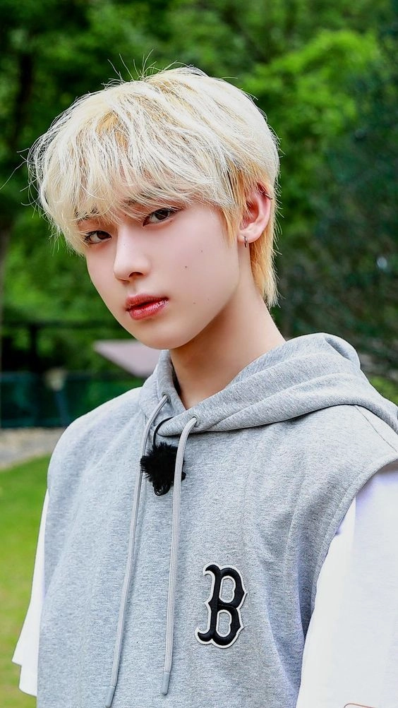 Grey Sleeveless Hoodie Sunoo Enhypen Fashion Chingu