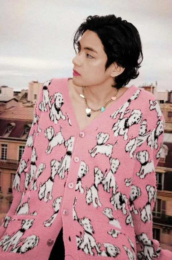Coral Pink Puppy Print Cardigan | Taehyung - BTS - Fashion