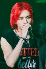 ☆BABYMONSTER アサ着用☆evergreen tartan/ROMANTIC TIGER☆ TigerVerse on X: 