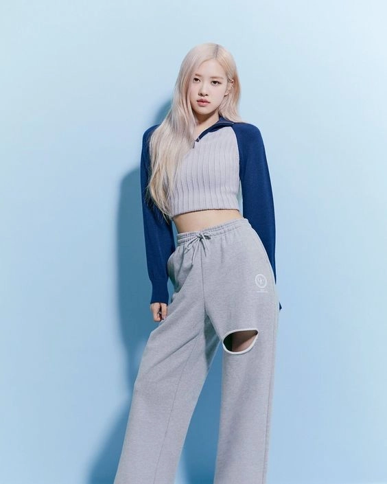Blue Ribbed Zip-Up Sweater | Rose - BlackPink - Fashion Chingu