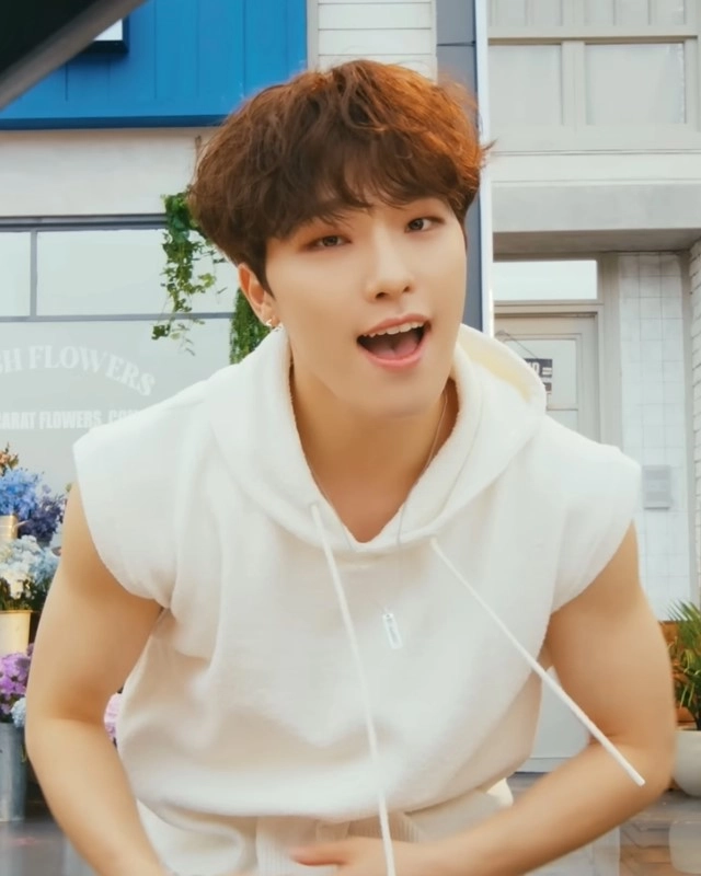 White Sleeveless Vest Hoodie Dino Seventeen Fashion Chingu