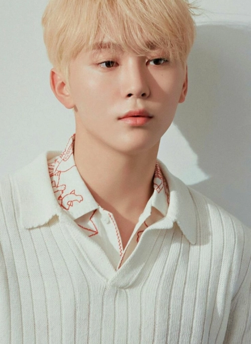 White Knit Short Sleeved Polo Shirt | Seungkwan - Seventeen