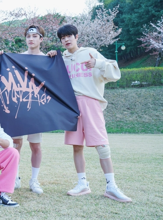 Pink Casual Cotton Shorts | Seungmin - Stray Kids - Fashion