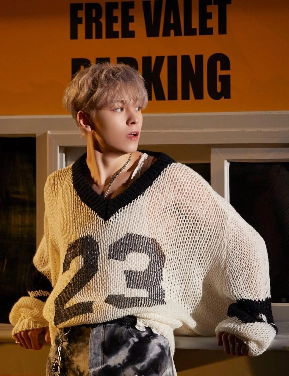 White See-Through Knitted Sweater | Vernon - Seventeen - Fashion