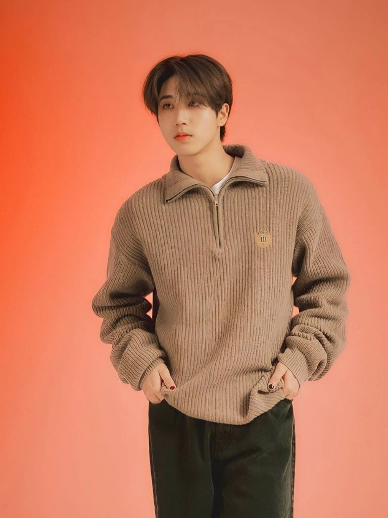 Brown Half Zip-Up Knitted Sweater | Jisung - Stray Kids