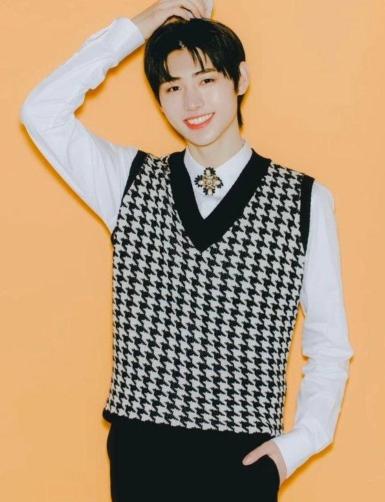 Black Houndstooth V-Neck Vest | Sunghoon - Enhypen - Fashion