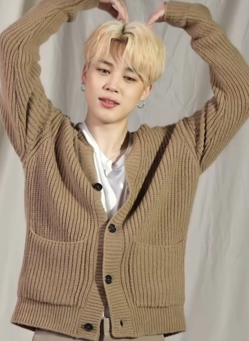 BTS 防弾少年団 CARDIGAN Mサイズ Green Tiger Cardigan | Jimin - BTS - Fashion Chingu