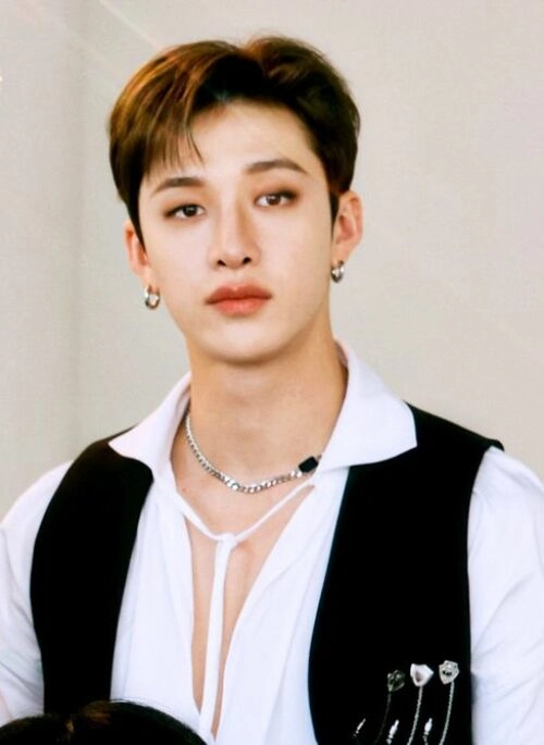Silver Multi-Layer Necklace | Bangchan - Stray Kids