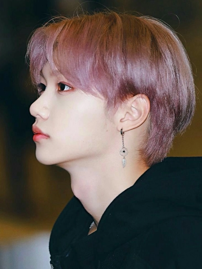 【SENTIMENTS】NO.256 EARRING▲STRAYKIDS着用 New Trend Kpop Stray Kids Felix Triangle Tassel Strip Dangle